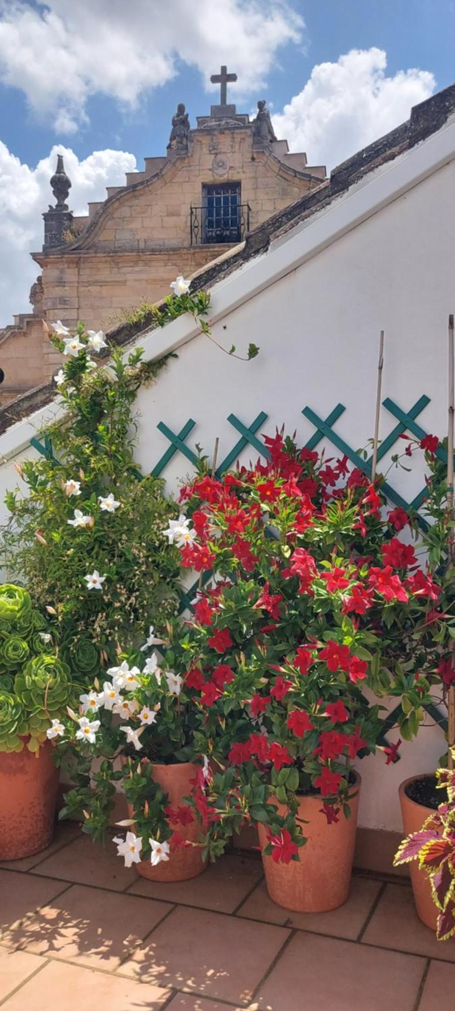 Apartamentos Los Descalzos Angel With Private Terrace Free Parking Ronda Eksteriør billede