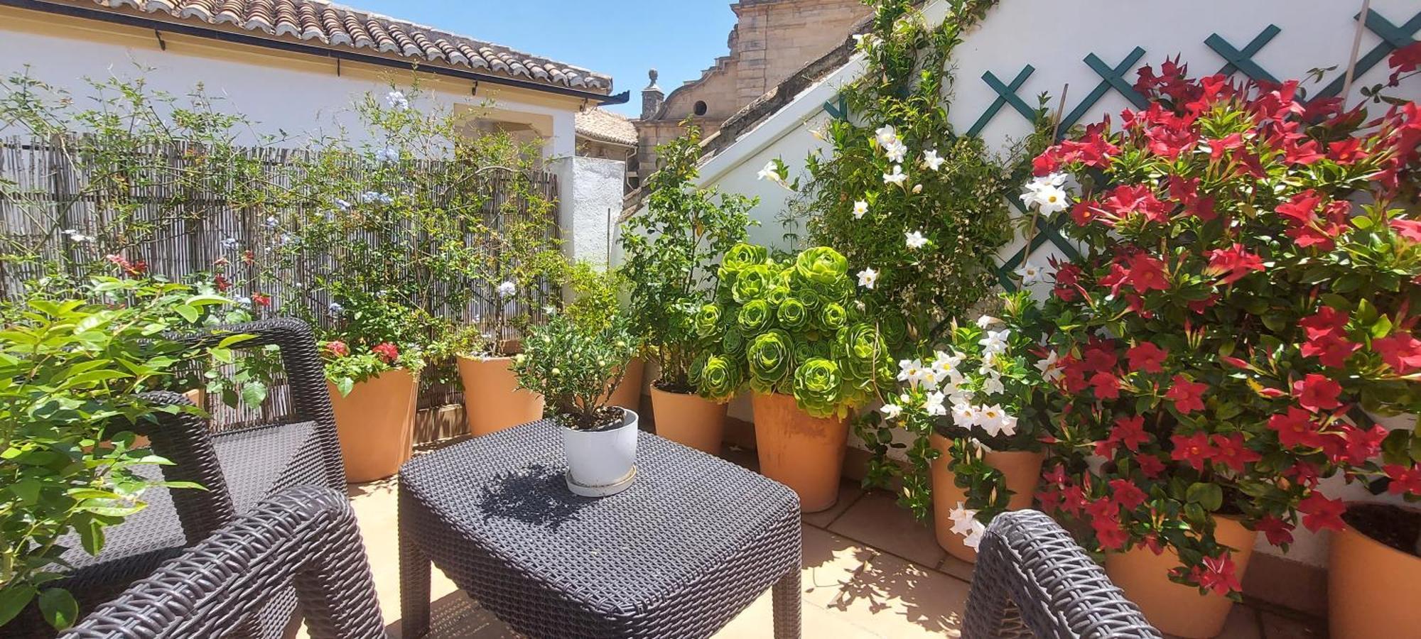 Apartamentos Los Descalzos Angel With Private Terrace Free Parking Ronda Eksteriør billede