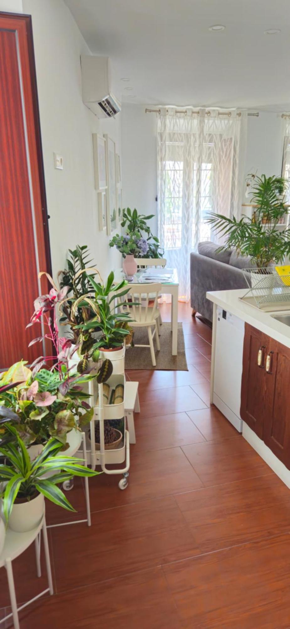 Apartamentos Los Descalzos Angel With Private Terrace Free Parking Ronda Eksteriør billede