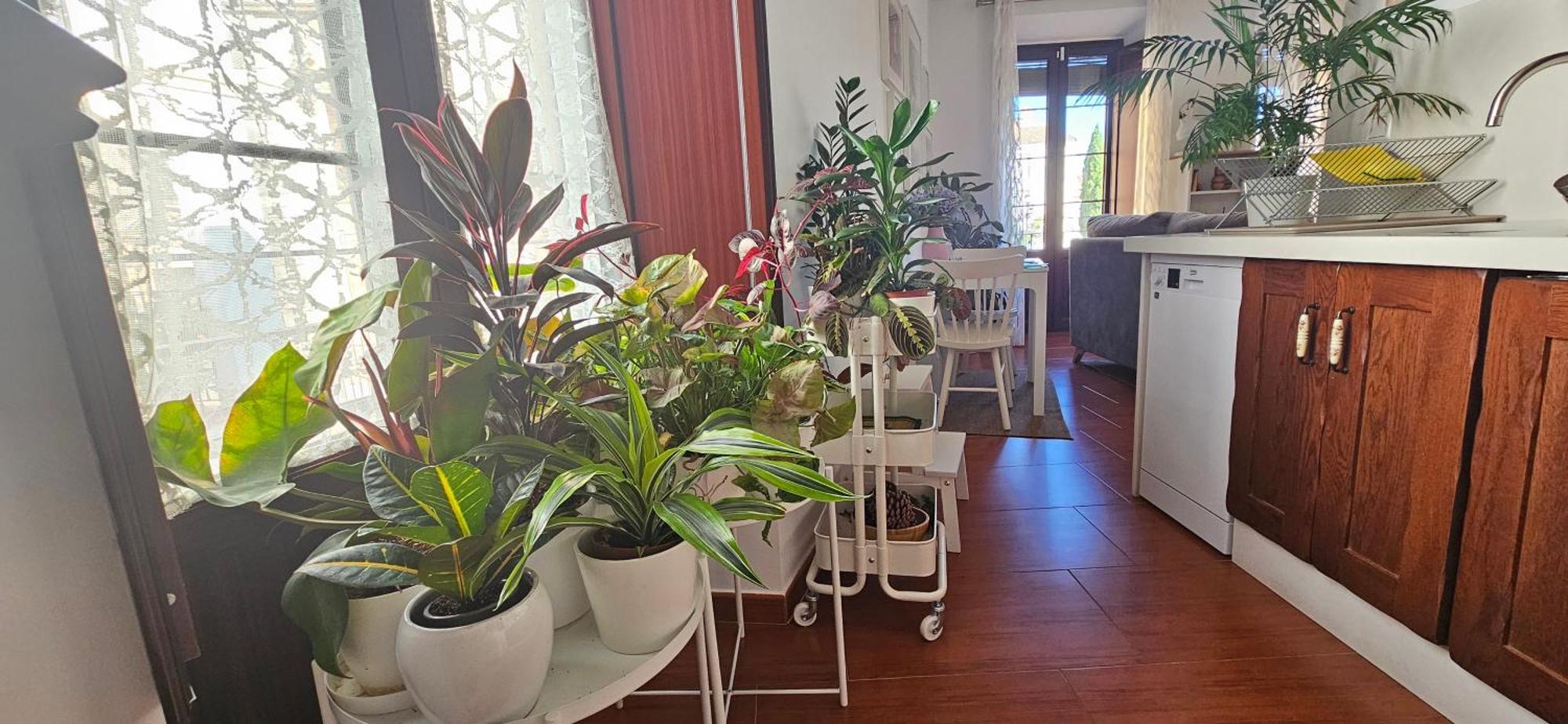 Apartamentos Los Descalzos Angel With Private Terrace Free Parking Ronda Eksteriør billede
