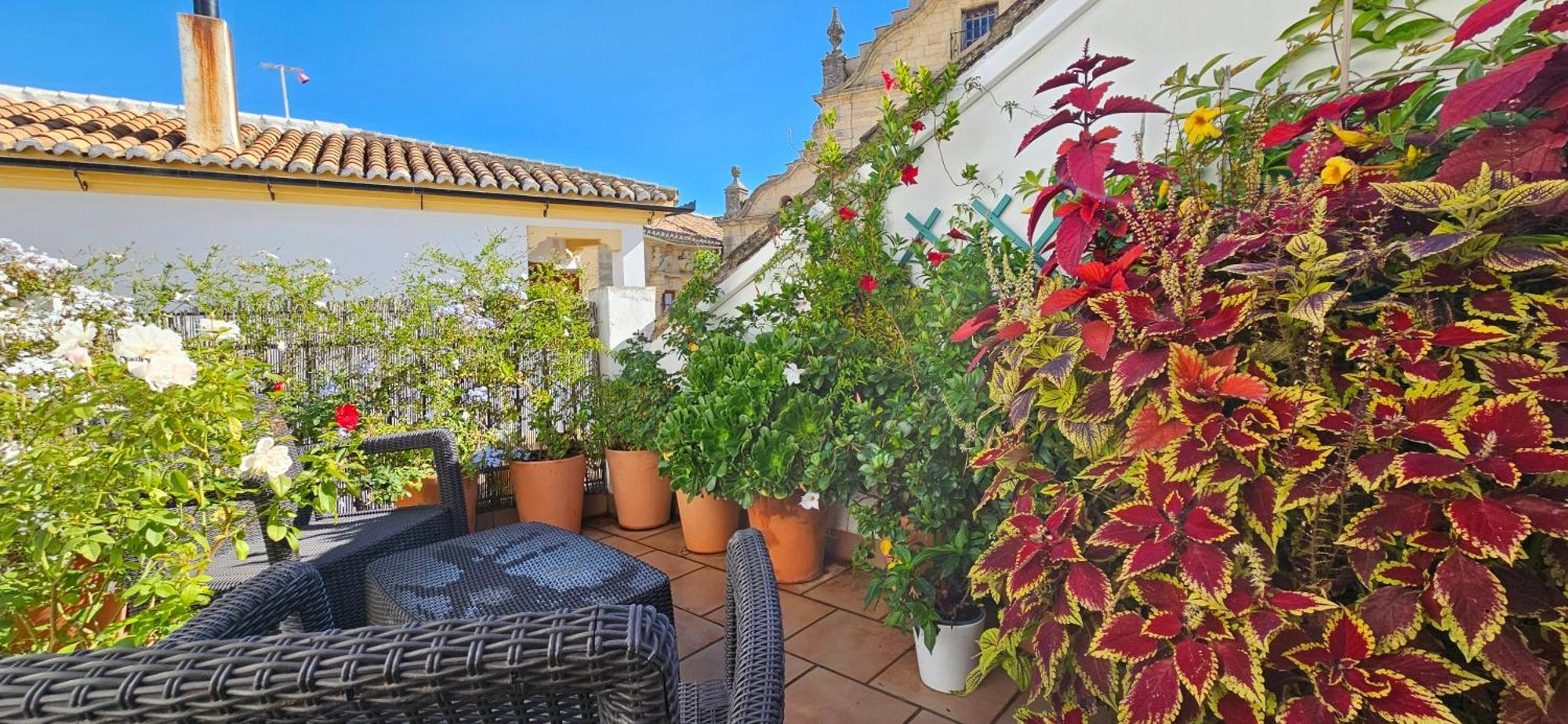 Apartamentos Los Descalzos Angel With Private Terrace Free Parking Ronda Eksteriør billede